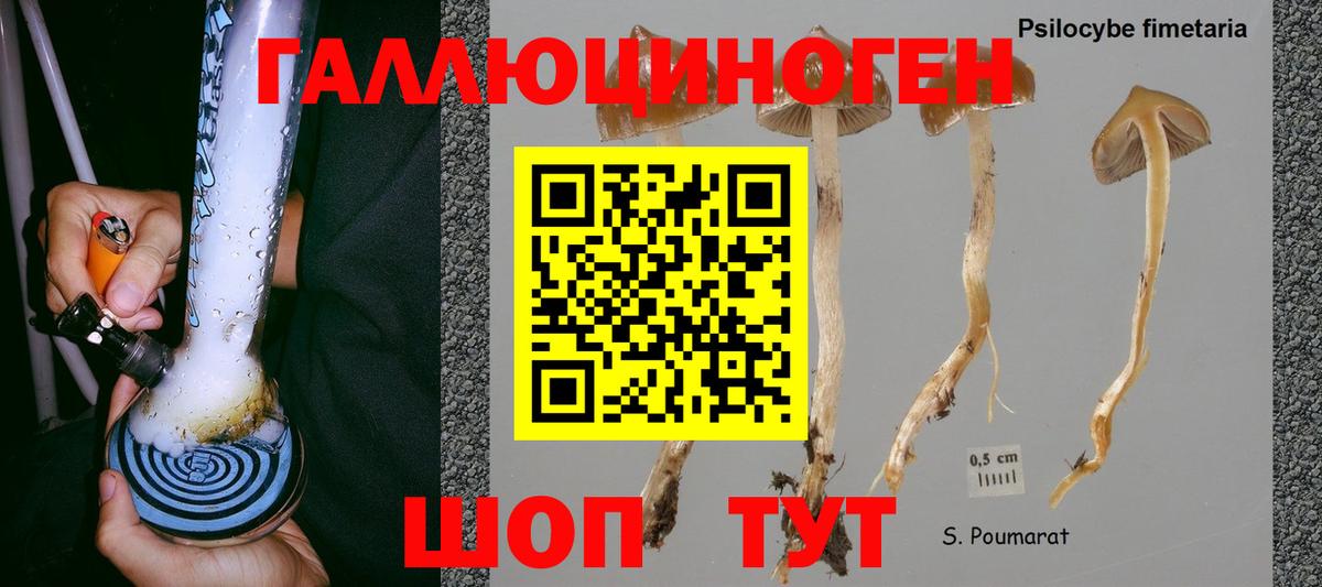 Псилоцибиновые грибы Magic Shrooms  Псилоцибиновые грибы ЛСД  где купить наркоту  Вход с VPN  Заинск 